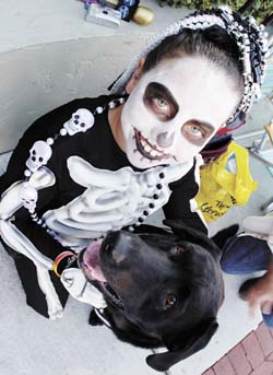 Pet Masquerade and Parade 2006 photo - Duval Street, Key West